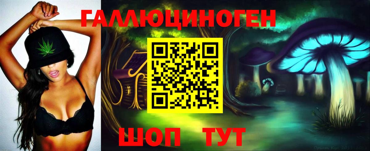 Камышлов  где можно купить   Вход с VPN  Псилоцибиновые грибы Psilocybine cubensis 